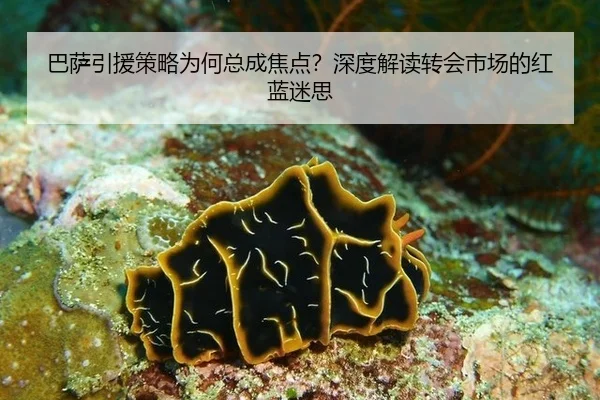 巴萨引援策略为何总成焦点？深度解读转会市场的红蓝迷思